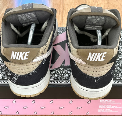 Travis Scott x Nike SB Dunk (Special Box)